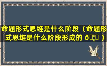 命题形式思维是什么阶段（命题形式思维是什么阶段形成的 🦆 ）